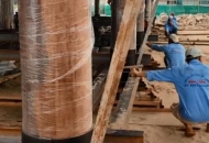 Di DỜI 42 MÉT. VIDEO TRÊN CĂN NHÀ ĐANG DI CHUYỂN.